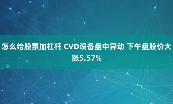 怎么给股票加杠杆 CVD设备盘中异动 下午盘股价大涨5.57%