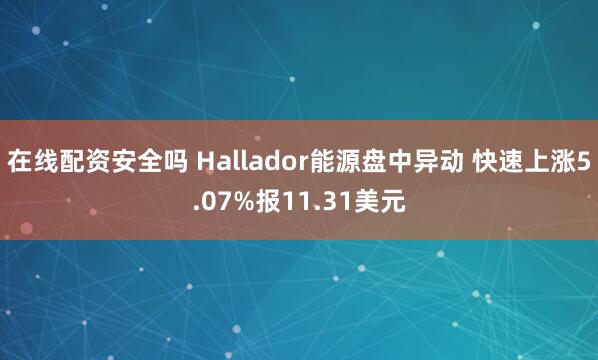 在线配资安全吗 Hallador能源盘中异动 快速上涨5.07%报11.31美元