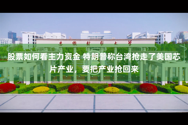 股票如何看主力资金 特朗普称台湾抢走了美国芯片产业，要把产业抢回来