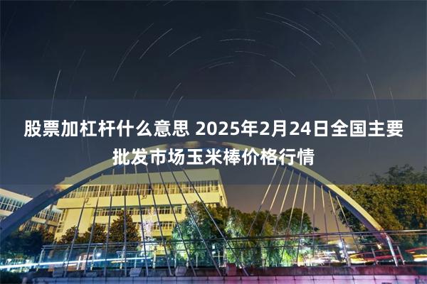 股票加杠杆什么意思 2025年2月24日全国主要批发市场玉米棒价格行情