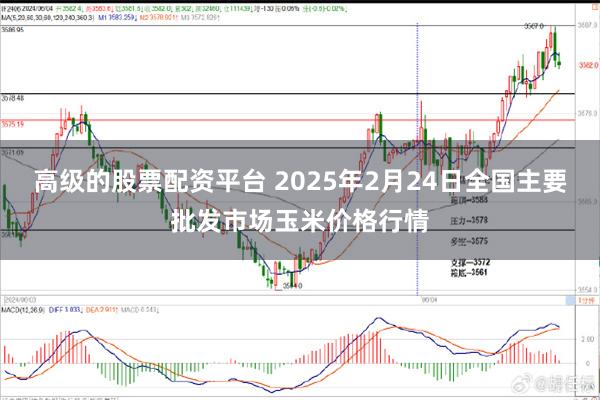 高级的股票配资平台 2025年2月24日全国主要批发市场玉米价格行情